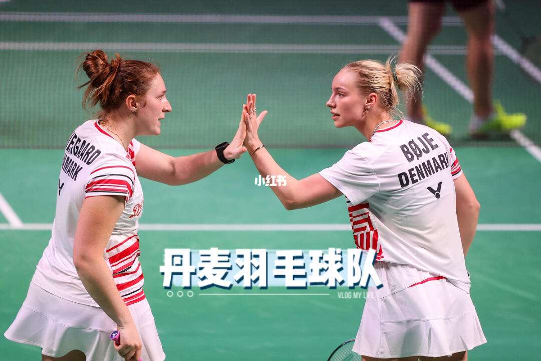 爱游戏娱乐-芬兰队在羽毛球比赛中晋级四强