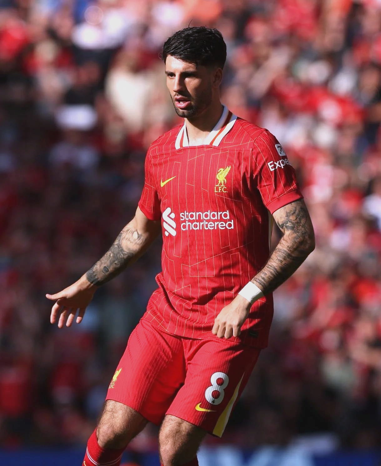 爱游戏竞技-包含匈牙利疯狂夺冠,赢得全场欢呼的词条